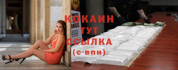 PSILOCYBIN Балабаново